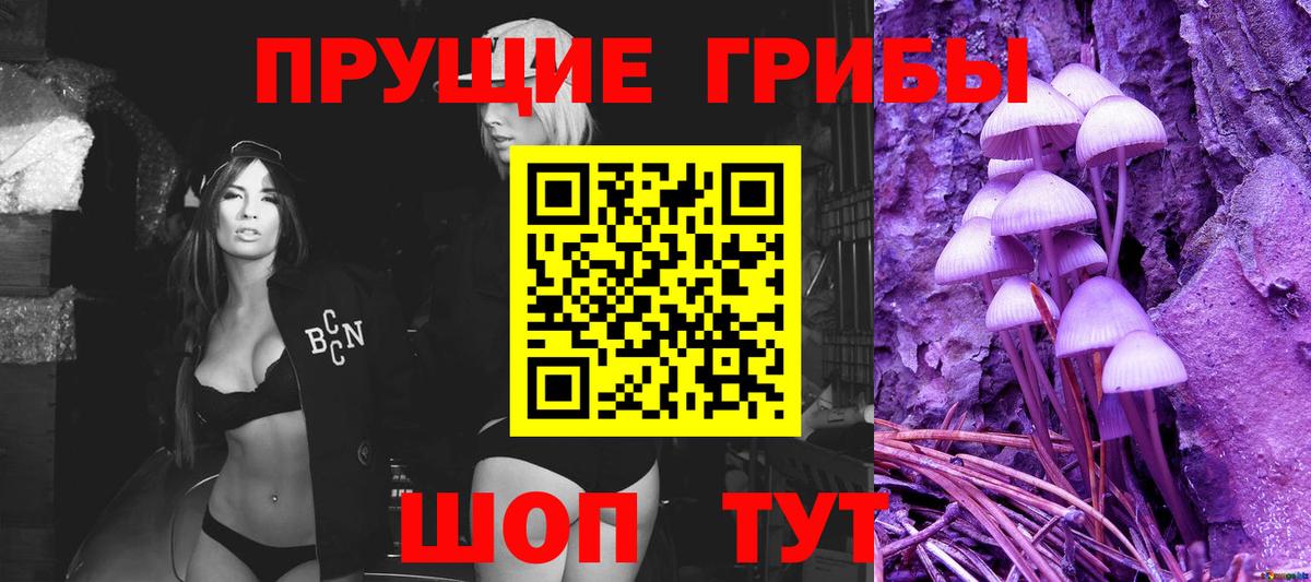 Псилоцибиновые грибы мицелий Тимашёвск
