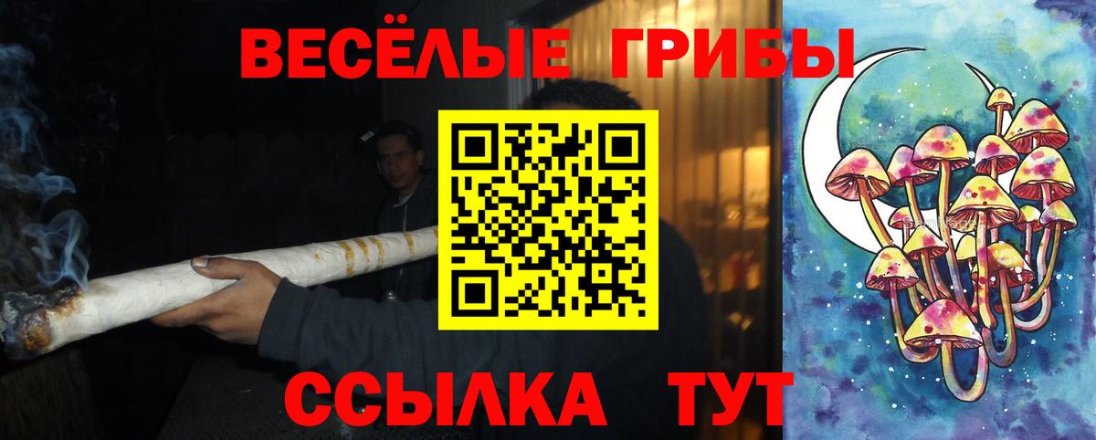 Галлюциногенные грибы мухоморы  Псилоцибиновые грибы Psilocybine cubensis  Тимашёвск  даркнет сайт  Вход с VPN 